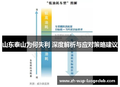 山东泰山为何失利 深度解析与应对策略建议