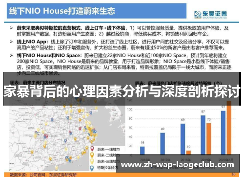家暴背后的心理因素分析与深度剖析探讨