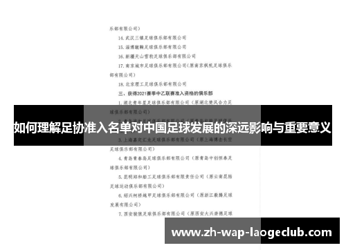 如何理解足协准入名单对中国足球发展的深远影响与重要意义