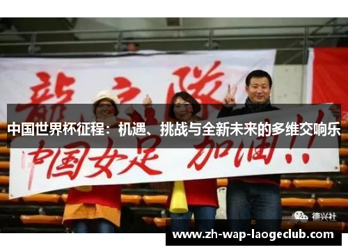 中国世界杯征程：机遇、挑战与全新未来的多维交响乐