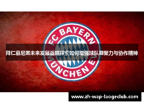 拜仁慕尼黑未来发展战略探索如何增强球队凝聚力与协作精神