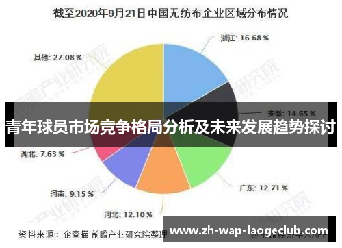 青年球员市场竞争格局分析及未来发展趋势探讨